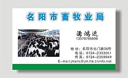 畜牧業名片模板