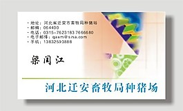 矢量畜牧業名片