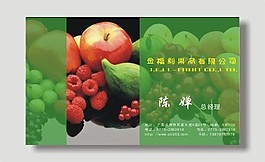 矢量果品公司名片