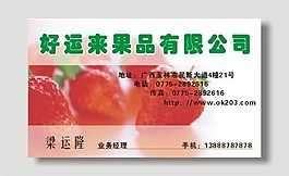 矢量果品名片設計