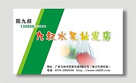 矢量水果批發(fā)名片模板
