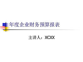 年度企業(yè)財務(wù)預(yù)算報表ppt模板