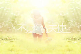 不是你的天使PPT模板