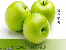 業(yè)務(wù)員培訓(xùn)PPT模板