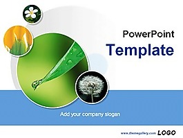 植物介紹分析主題ppt模板