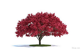 3D紅色樹木模型