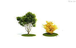 3D绿色植物模型