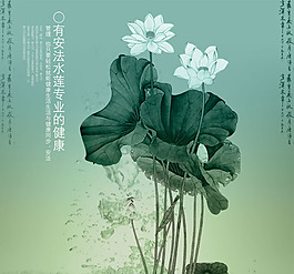 安法水蓮專業健康管理海報PSD分層素材