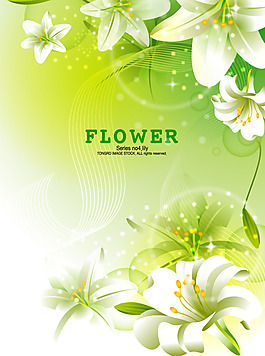 百合花背景矢量图下载
