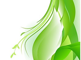 綠色植物葉子矢量圖下載