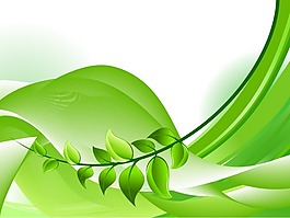 綠色植物葉子矢量圖下載
