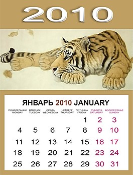 2010虎年日歷矢量圖下載