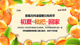 枇杷矢量免費(fèi)素材下載