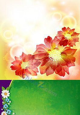精美花卉装饰背景图矢量