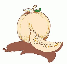 香瓜矢量圖下載