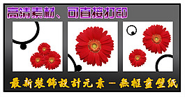 最新裝飾設(shè)計無框畫壁紙