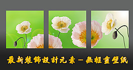 最新裝飾設(shè)計(jì)無(wú)框畫(huà)壁紙菊花