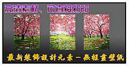 最新裝飾設(shè)計無框畫壁紙風景