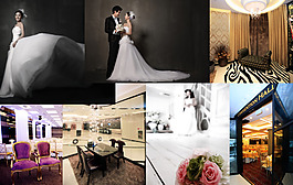 美女婚紗圖 高清 各色背景圖