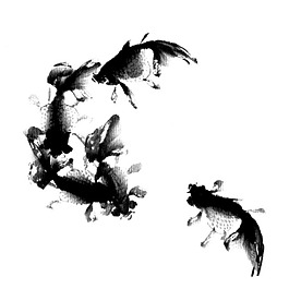 黑色金魚 古典畫黑色魚