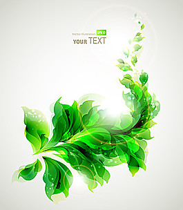 炫彩花紋背景矢量素材