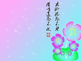 美麗的花