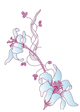 移门图片素雅