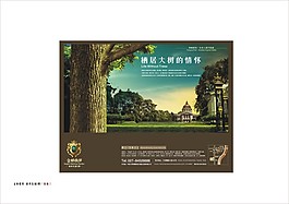 金橋鼎邦VI12