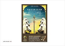 金橋鼎邦VI14