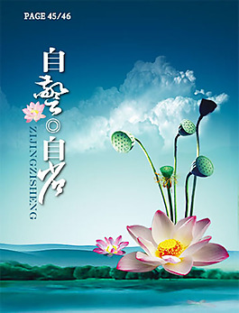 文化展板設(shè)計蓮子 荷花 蓮花