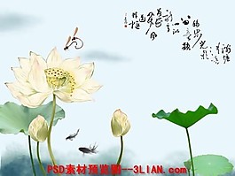 荷花
