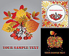 秋葉秋果矢量素材