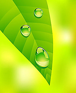 清新綠葉水珠矢量素材