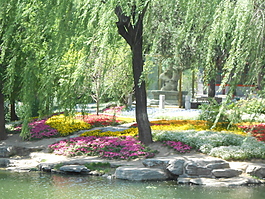 风景