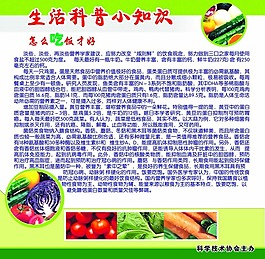 生活科普小知識(shí)校園文化設(shè)計(jì)稿