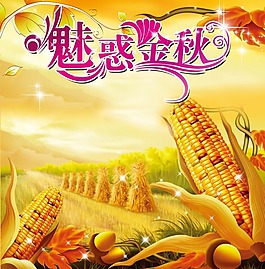 魅惑秋天玉米海报PSD素材免费下载