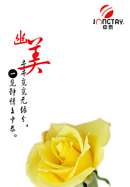 文化展板設(shè)計(jì)幽美玫瑰