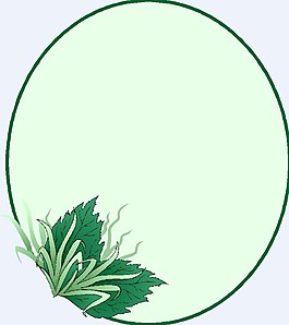 矢量花紋邊框