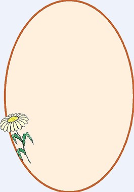 矢量花紋邊框