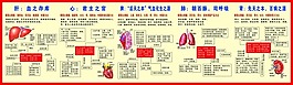 醫院宣傳畫肝心脾肺腎內臟器官調養方法