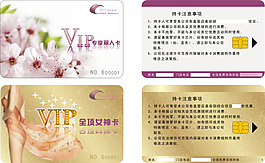 美容機(jī)構(gòu)VIP貴賓卡全項(xiàng)女神卡設(shè)計(jì)CDR