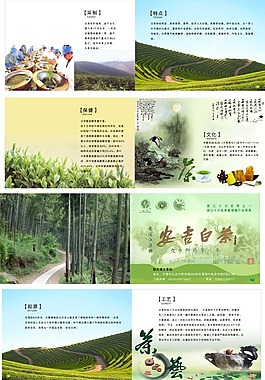 茶葉畫冊