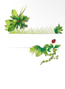 綠色植物分割線背景圖