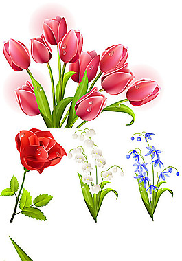 五款花朵矢量素材