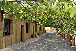 鄉村小院