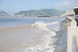 大海