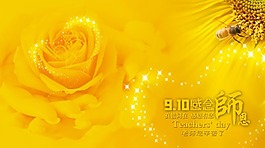 节日庆典教师节感念师恩黄色