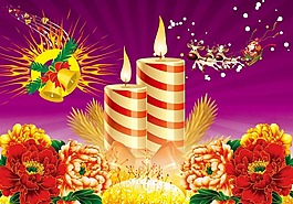 節(jié)日慶典圣誕節(jié)花朵