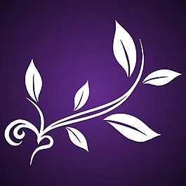 精美歐式花紋