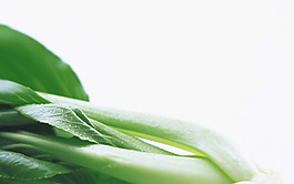 蔬菜背景
